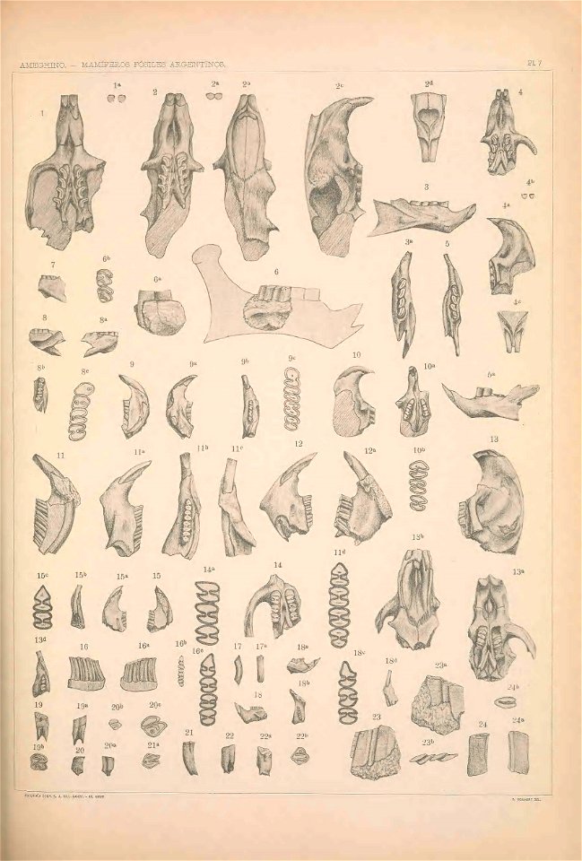 n1106_w1150