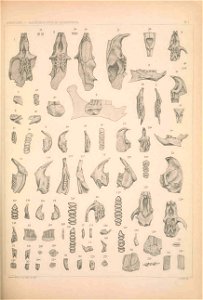 n1106_w1150