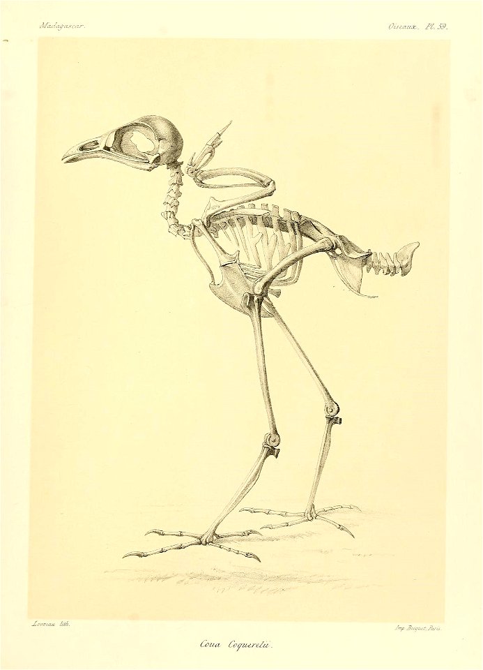 n178_w1150
