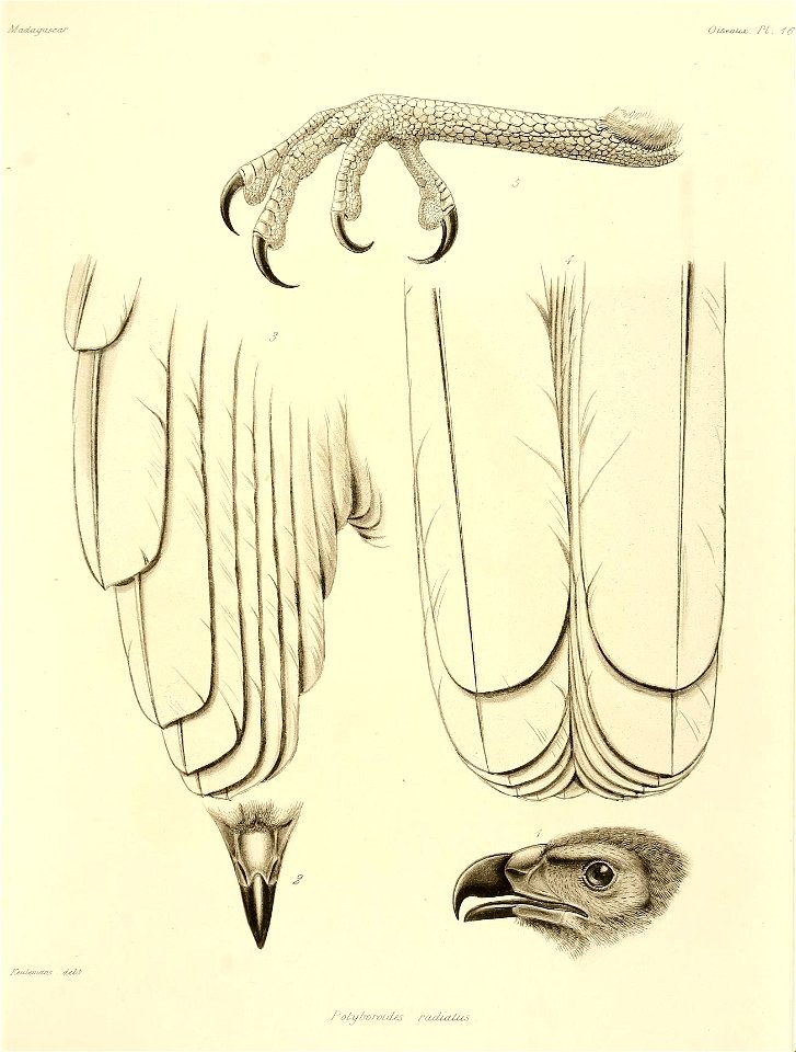 n56_w1150