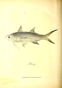 n319_w1150