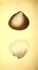 n83_w1150
