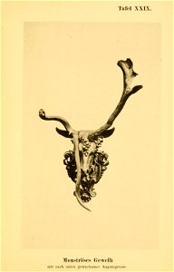 n84_w1150