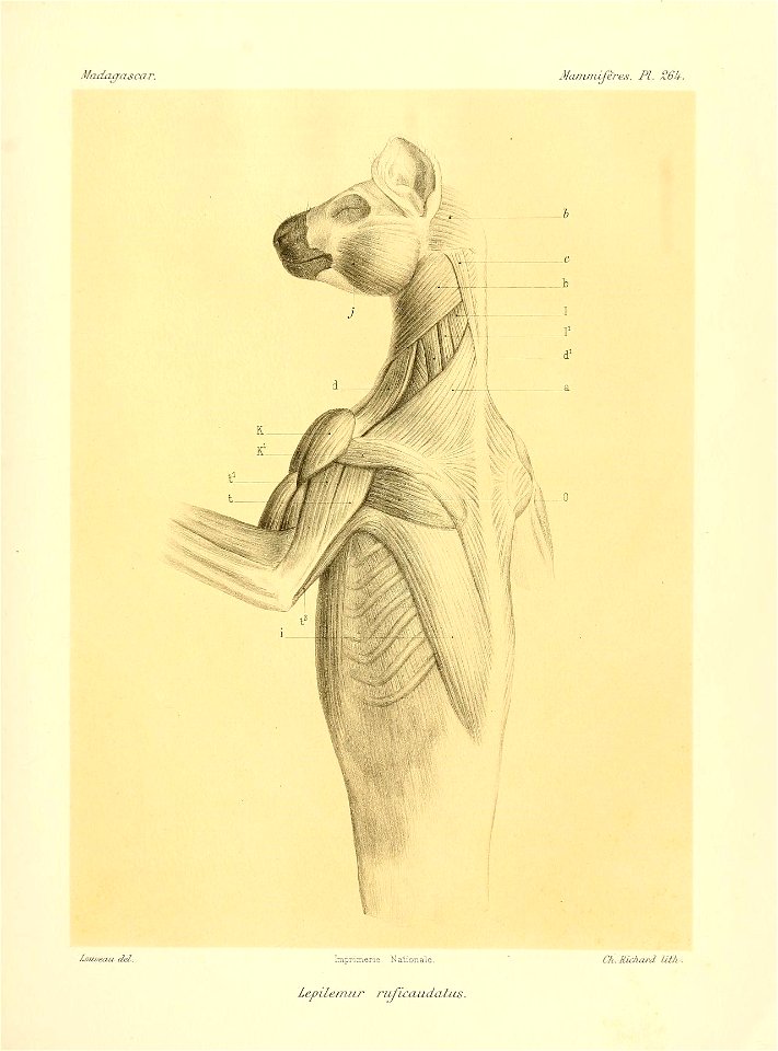 n352_w1150