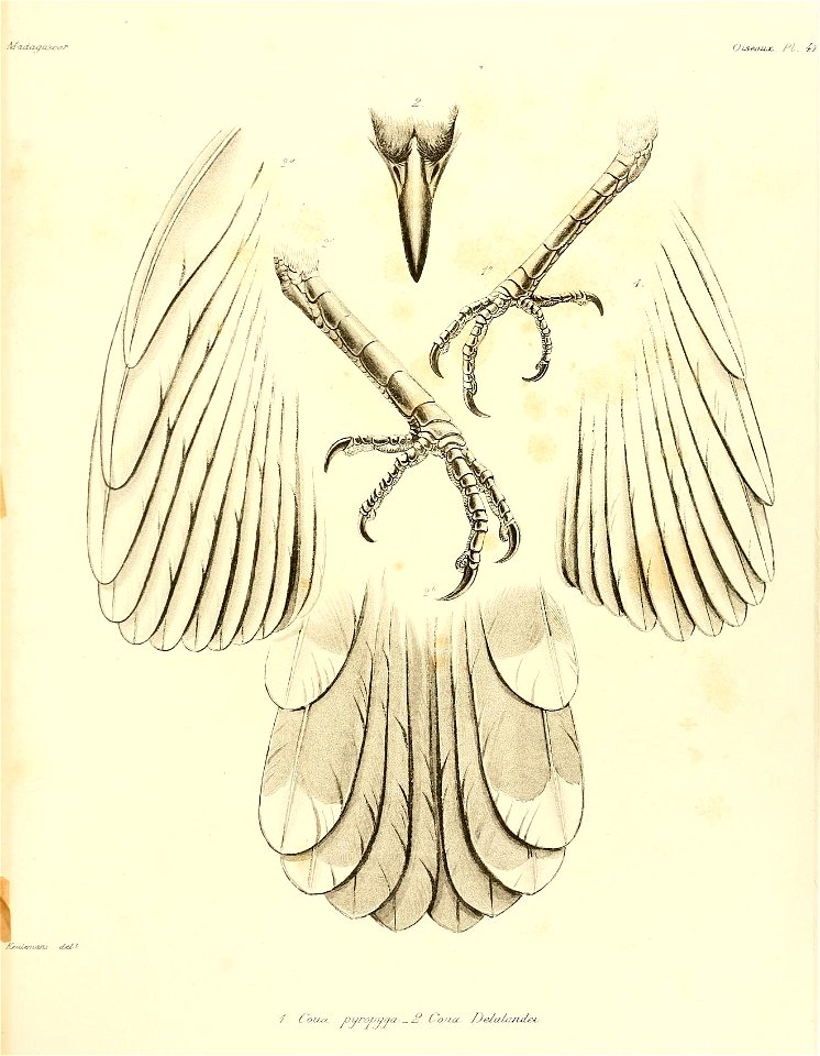 n142_w1150