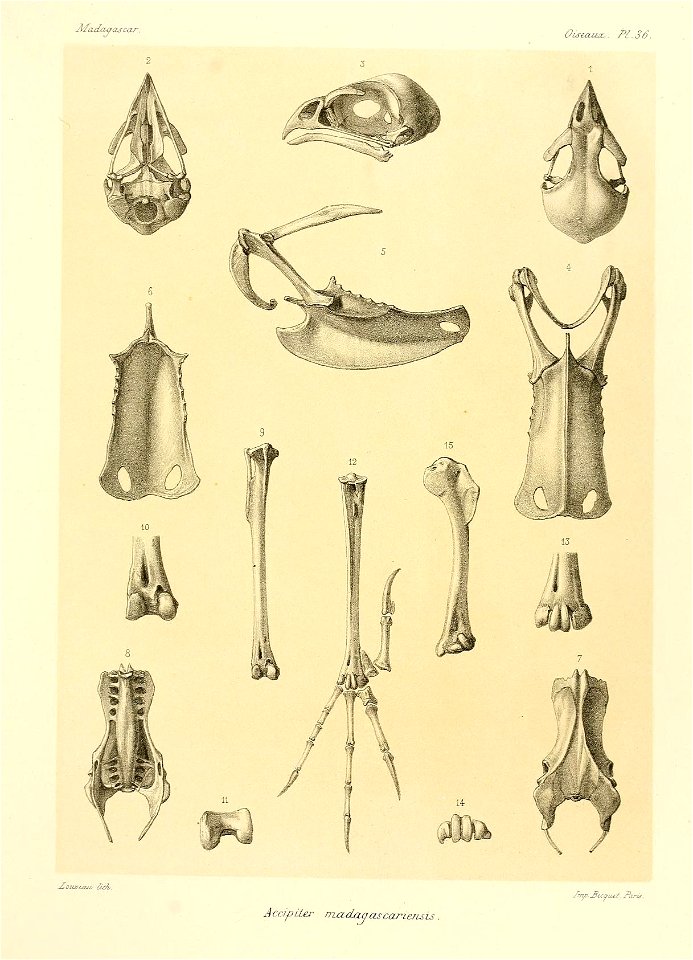 n112_w1150