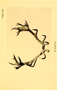 n50_w1150