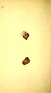 n137_w1150