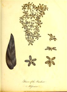 n146_w1150