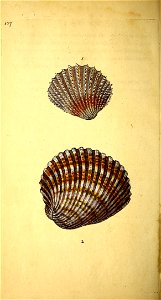 n153_w1150
