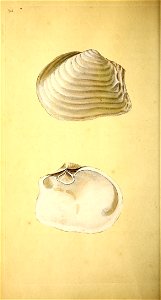 n91_w1150