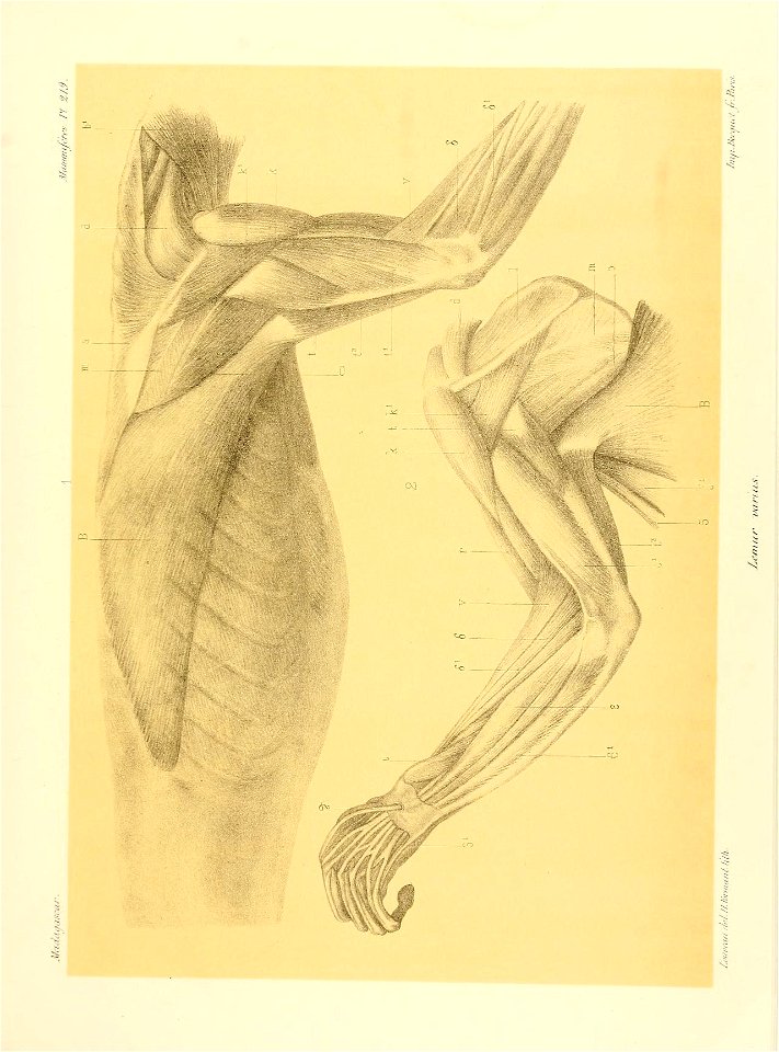 n252_w1150
