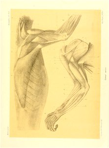 n252_w1150