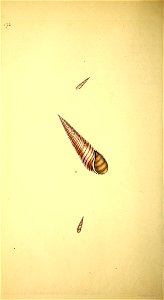 n133_w1150
