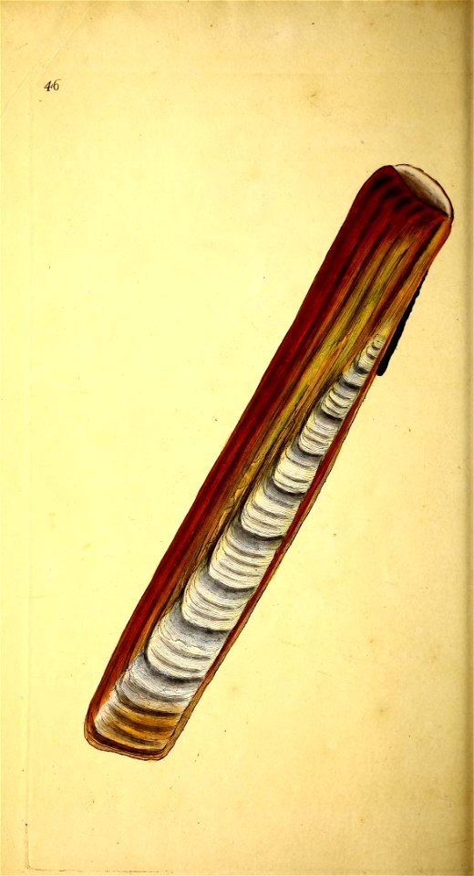 n49_w1150