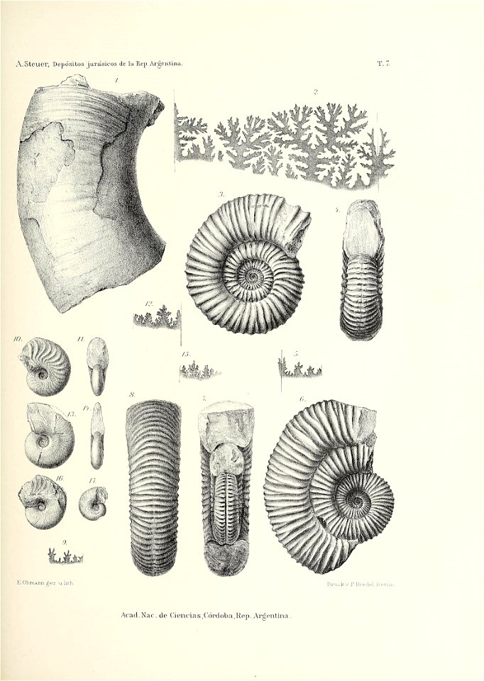n164_w1150