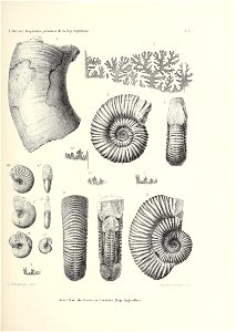 n164_w1150