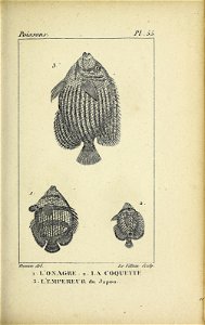 n148_w1150