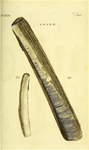 n272_w1150
