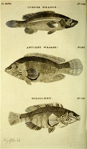 n359_w1150