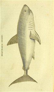 n166_w1150