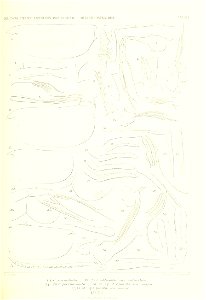 n184_w1150