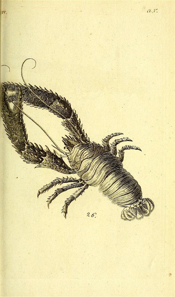 n208_w1150