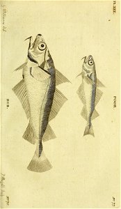 n258_w1150