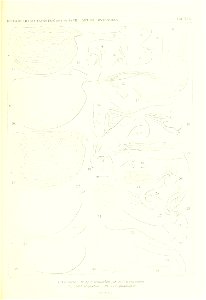 n240_w1150