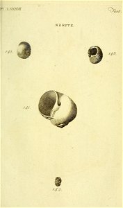 n356_w1150