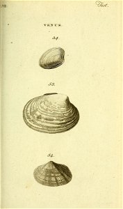 n296_w1150