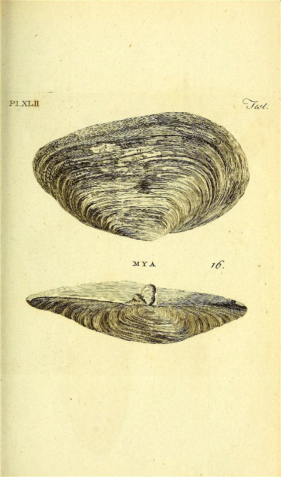 n266_w1150