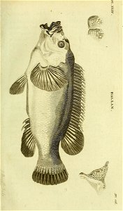 n348_w1150