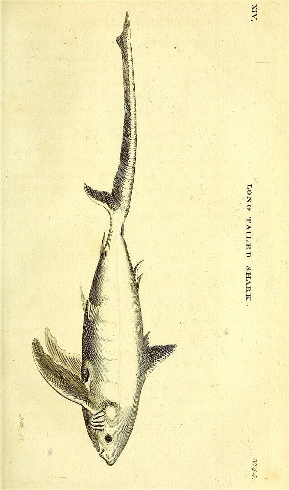 n152_w1150
