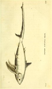 n152_w1150
