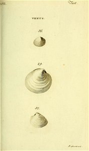 n294_w1150