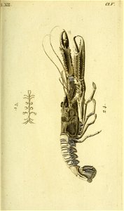 n204_w1150