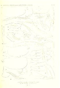 n172_w1150