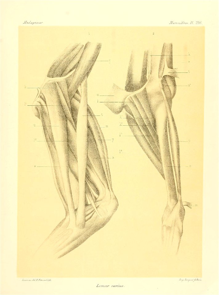 n266_w1150