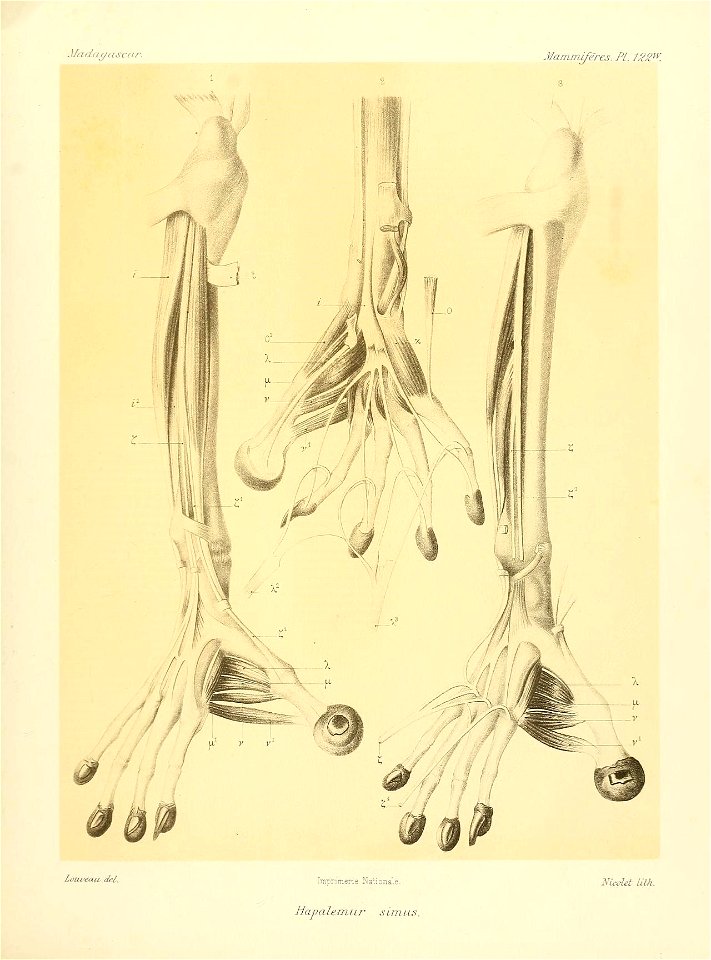 n52_w1150