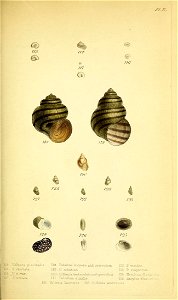 n364_w1150