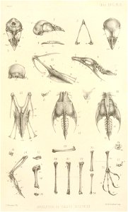 n318_w1150