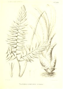 n202_w1150