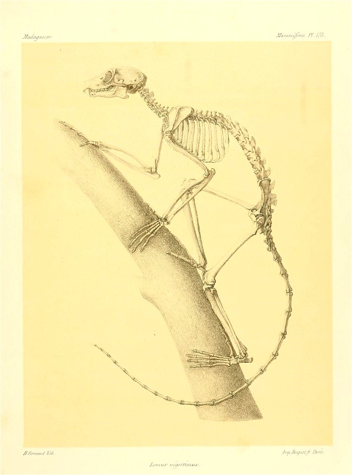 n164_w1150
