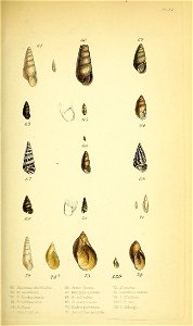 n356_w1150