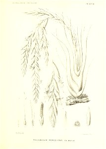 n194_w1150