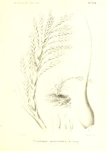 n192_w1150