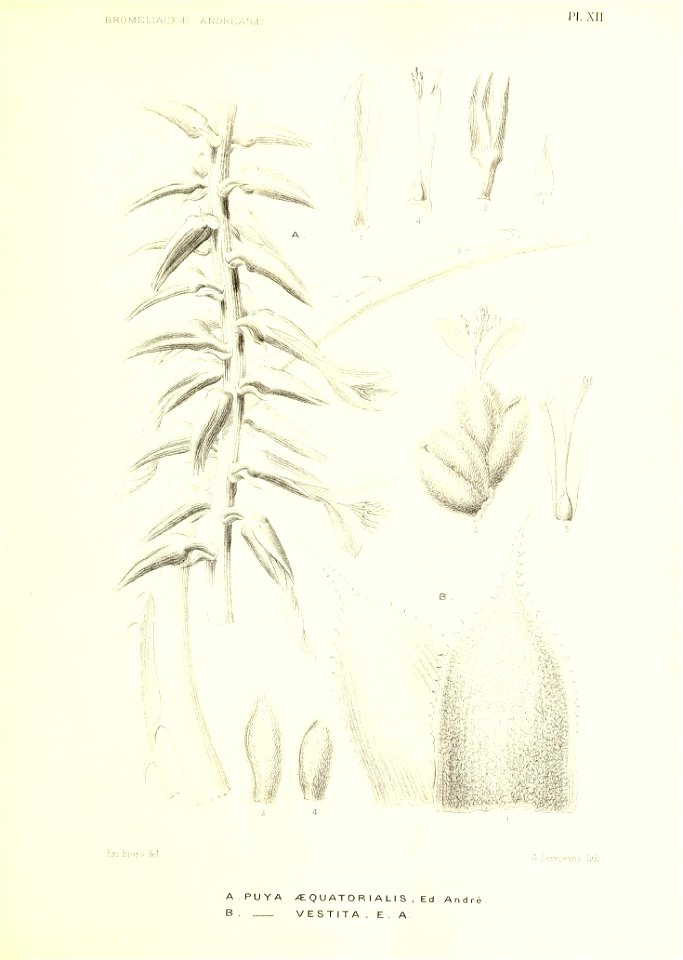 n162_w1150
