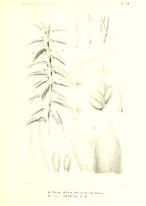 n162_w1150
