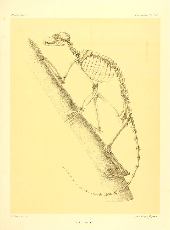 n160_w1150